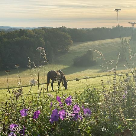 Domaine De Cazal - Gite 2 Pers Avec Piscine Au Coeur De 26 Hectares De Nature Preservee Βίλα Saint-Cyprien  Εξωτερικό φωτογραφία