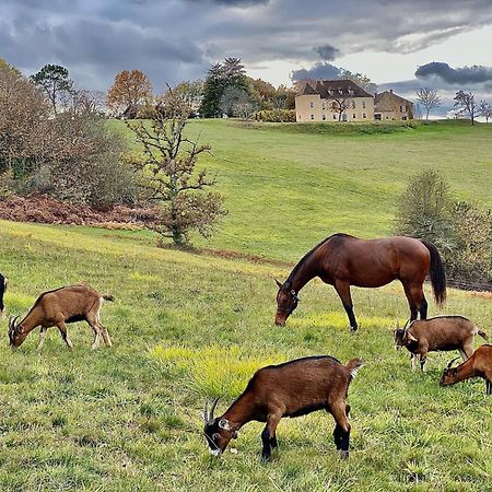 Domaine De Cazal - Gite 2 Pers Avec Piscine Au Coeur De 26 Hectares De Nature Preservee Βίλα Saint-Cyprien  Εξωτερικό φωτογραφία