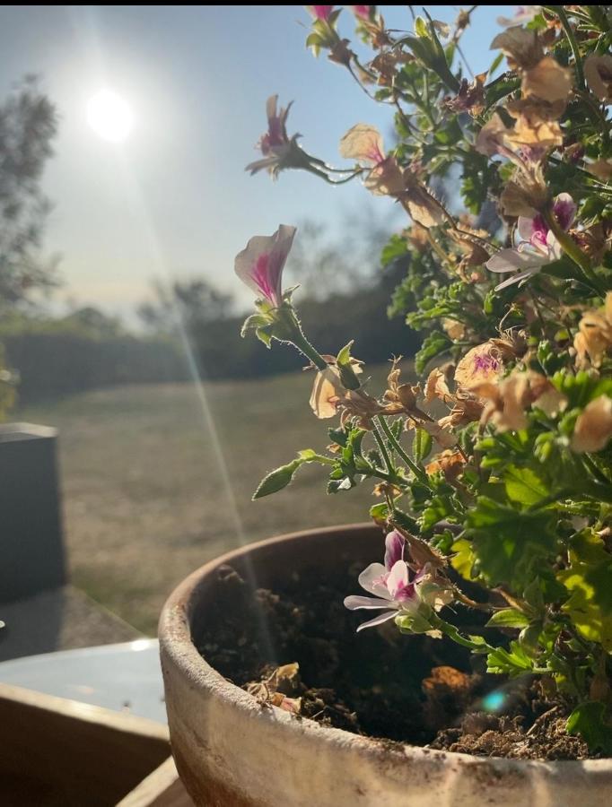 Domaine De Cazal - Gite 2 Pers Avec Piscine Au Coeur De 26 Hectares De Nature Preservee Βίλα Saint-Cyprien  Εξωτερικό φωτογραφία