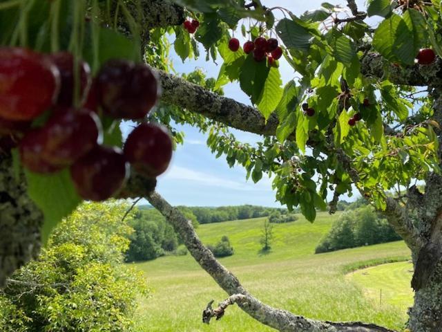 Domaine De Cazal - Gite 2 Pers Avec Piscine Au Coeur De 26 Hectares De Nature Preservee Βίλα Saint-Cyprien  Εξωτερικό φωτογραφία